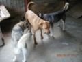 dscn1743.jpg